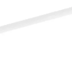 Diskborste