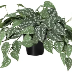 Konstväxt i kruka Silverranka, 32 cm