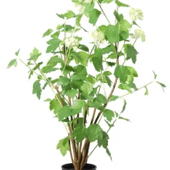 Konstväxt trädgårdshortensia vit, 98 cm