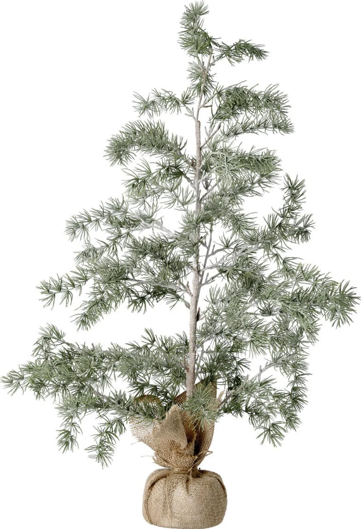 Lärkträd med fot omsluten av juteväv, 90 cm