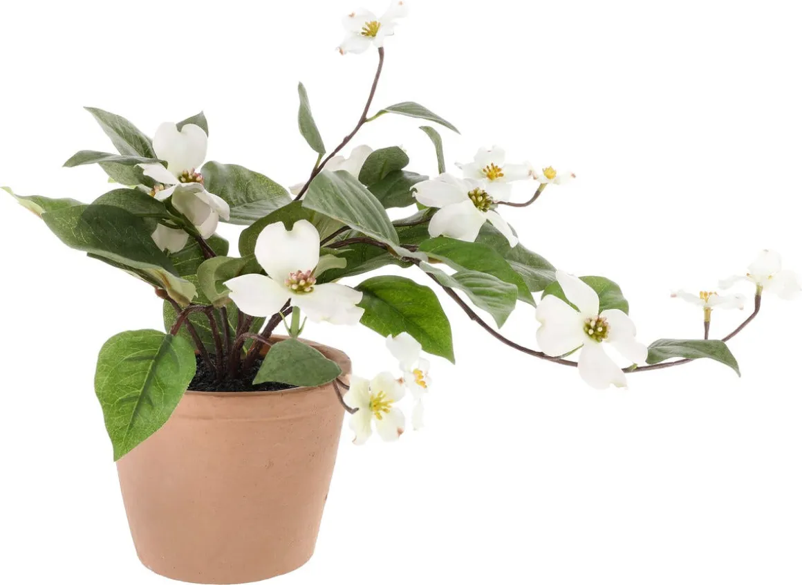 Plastblomma i kruka, sommarväxt med vita blommor