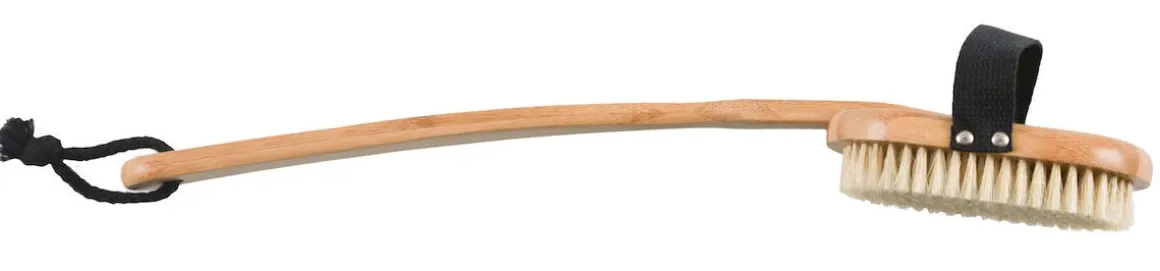 Ryggborste bambu